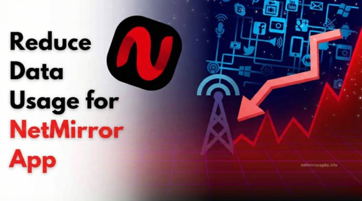 Reduce-Data-Usage-for-NetMirror